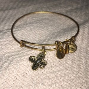 Alex & Ani bracelet